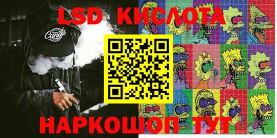 индика Славгород