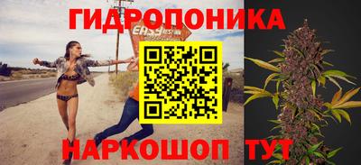 стафф Северобайкальск