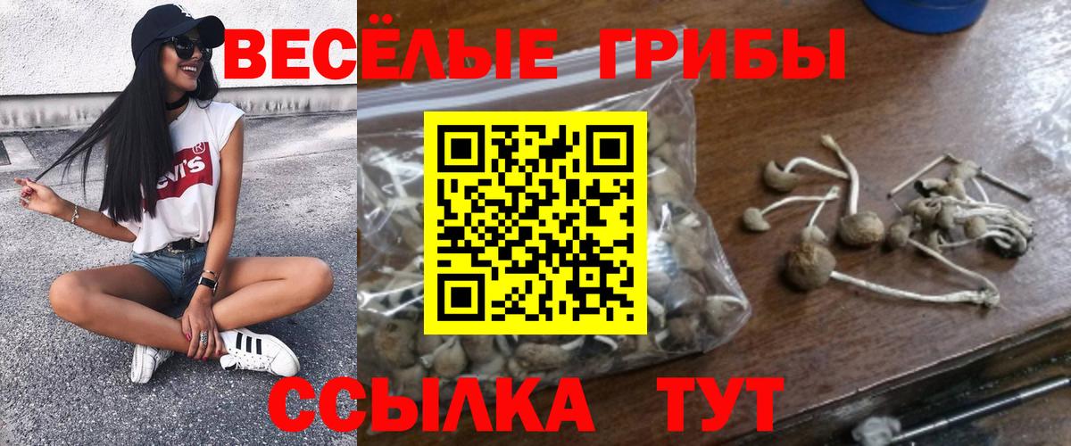 Мурино  Галлюциногенные грибы прущие грибы  Псилоцибиновые грибы мухоморы  Вход с VPN 